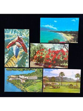 Vintage Postcard Lot Hawaii Maui Kauai Kona Honolulu Surf Hotels Beach Flowers A